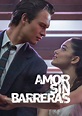 Pelicula Amor Sin Barreras (2021) Online o Descargar HD