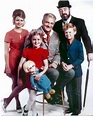 Pin by Anne Bransford on Tv shows | Family affair tv show, Childhood tv ...