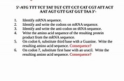 [Solved] 5'-ATG TTT TCT TAT TGT CTT CCT CAT CGT ATT ACT AAT AGT GTT GAT ...