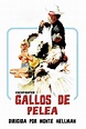 Gallos de pelea (1974) Película - PLAY Cine