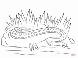 Anaconda coloring page | Free Printable Coloring Pages | Free printable ...