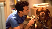 The Five Best Dog Movies