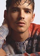 Brenton Thwaites Photoshoot - Brenton Thwaites photo (41768433) - fanpop