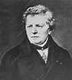 Georg Simon Ohm - Stock Image - H415/0074 - Science Photo Library
