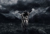 Fallen Angel | Crying angel, Digital artists, Angel