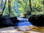A hidden waterfall in Daniel Boone National Forest : r/pics