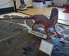 地質館 (新澤西州) - 维基百科，自由的百科全书