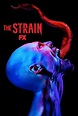 The Strain Season 2 | Rotten Tomatoes