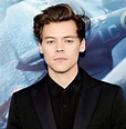 Harry Styles Reveals Reason He Passed on ‘The Little Mermaid’ Role | Us ...