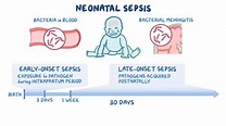 Neonatal sepsis: Nursing - Osmosis Video Library