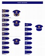 Policija - Rank insignia and police symbols