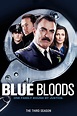 Blue Bloods (Familia de policías) Temporada 3 - SensaCine.com