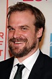 Actor david harbour attends the premiere of every day during the – Artofit