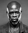 Djimon Hounsou's Instagram, Twitter & Facebook on IDCrawl