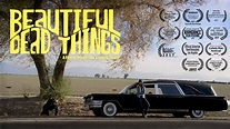 BEAUTIFUL DEAD THINGS-HD on Vimeo