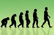 Evolution Of Life On Earth - The Big Bang Theory Of Evolution