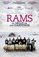 Rams (El valle de los carneros) - Película 2015 - SensaCine.com