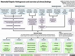 Neonatal Sepsis: Pathogenesis, and Overview of Clinical Findings ...