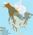 Maps of where bears live in North America - Vivid Maps