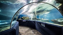 Greater Cleveland Aquarium – Bialosky Cleveland