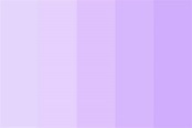 Lilac Color Palette