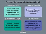 ¿Qué es el desarrollo organizacional? Características, etapas y modelos ...