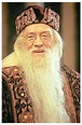 Richard Harris as Dumbledore | Harry Potter Portraits