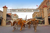 8 Awesome Things To Do In Fort Worth, Texas - Wander Mum