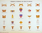 Army: Army Branches