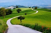 landscapes, Nature, Earth, Way, Road, Path, Trees, Green, Grass, Hills ...