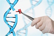 CRISPR cas9 y Prime Editing: Presente y futuro de la edición genética