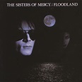 ‎Floodland (Deluxe Version) - Album by The Sisters of Mercy - Apple Music