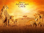 Disneynature Film African Cats The Official Trailer