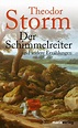 Der Schimmelreiter door Theodor Storm | Scholieren.com