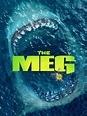 Meg : The Meg Fun Facts Everything You Could Ever Want To Know About ...
