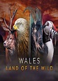 Wales: Land of the Wild | TVmaze
