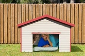 Don't Wait To Be In The Doghouse - The Generous Husband