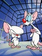 BBB 21: Como Pinky e o Cérebro, Arthur e Projota são imprescindíveis
