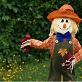 Collection 93+ Pictures Images Of A Scarecrow Updated