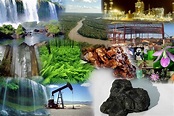 Qué son y cuáles son los recursos naturales