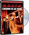 L'Inconnu de Las Vegas (2001) (Widescreen) (Version française): Amazon ...