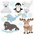 Arctic animal vector illustration | Arctic animals, Arctic animals ...
