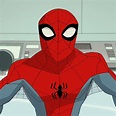 spiderman foto de perfil