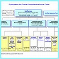 Strukturen: Charité Comprehensive Cancer Center - Charité ...