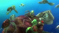 Finding Nemo- Turtle Scene - YouTube