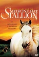 Peter Lundy and the Medicine Hat Stallion (TV Movie 1977) - IMDb