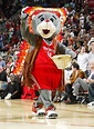 Pin by Jan Chaput on Sports Mascots | Houston rockets basketball ...