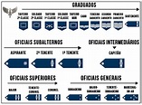 Hierarquia militar brasileira (patentes) - Enciclopédia Significados
