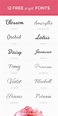12 Beautiful FREE Script Fonts