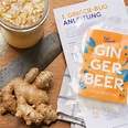 Bio Ginger Bug Kultur: Ginger Beer selber machen inkl. Anleitung I Fairment